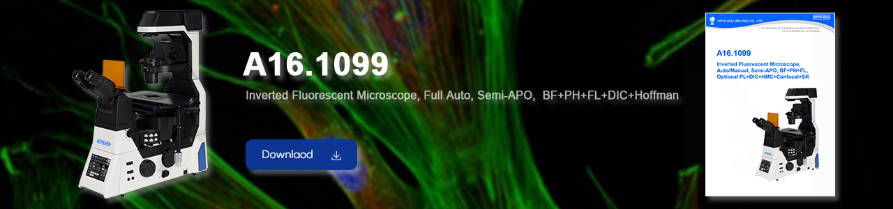 A16.1099 Inverted Fluorescent Microscope, Full Auto, Semi-APO, BF+PH+FL+DIC+Hoffman