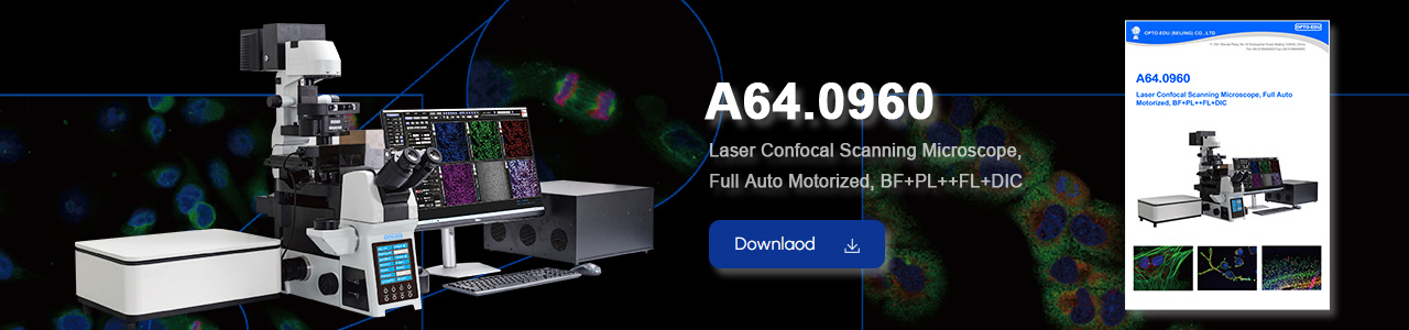 A64.0960 Laser Confocal Scanning Microscope, Full Auto Motorized, BF+PL++FL+DIC