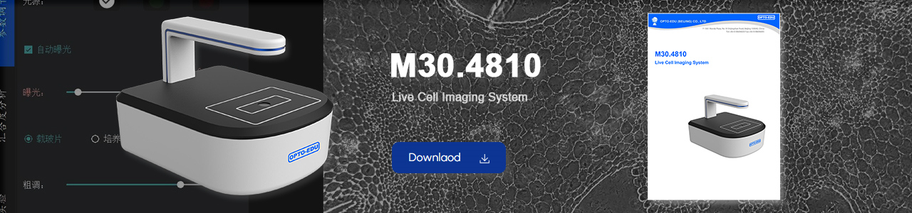 M30.4810 Live Cell Imaging System