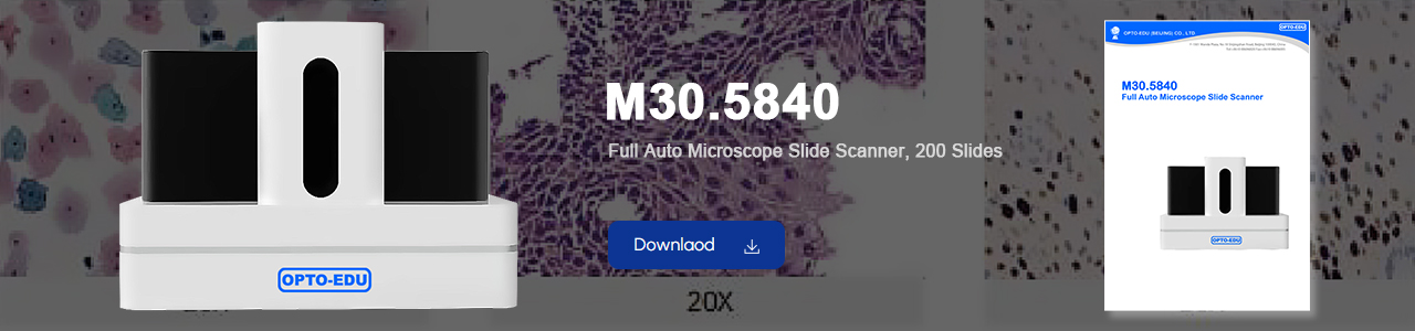 M30.5840 Full Auto Microscope Slide Scanner, 200 Slides
