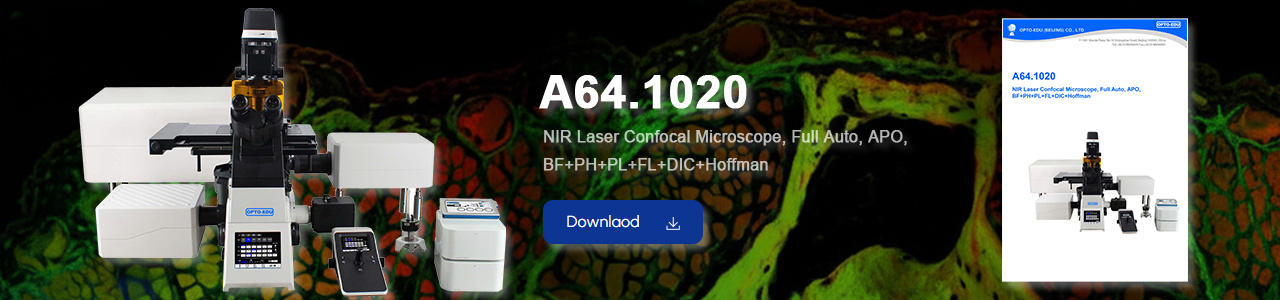 A64.1020 NIR Laser Confocal Microscope, Full Auto, APO,  BF+PH+PL+FL+DIC+Hoffman