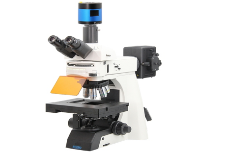 Advanced Autofocus Stitching for Pathology Imaging