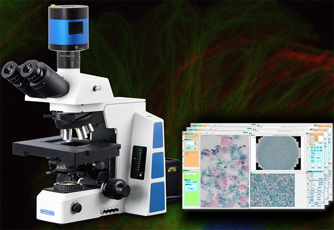 Advanced automated microscopes deliver rapid, precision imaging across uneven sample surfaces
