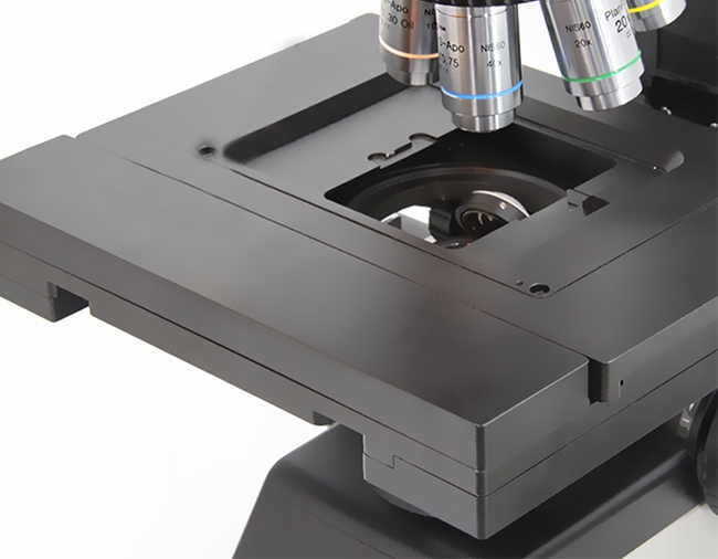 High-performance motorized microscopes deliver flawless auto-focus imaging across complex pathological samples