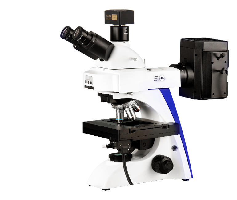 M16.5810 Motorized Fluorescent Microscope, BF, XYZ Motorized