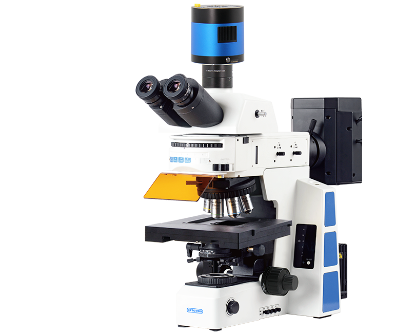 M16.5850 Motorized Fluorescent Microscope, BF, XYZ Motorized