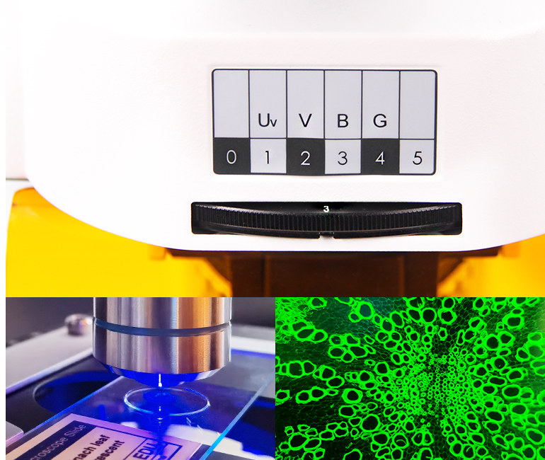 6 Holes Disk Fluorescence Unit