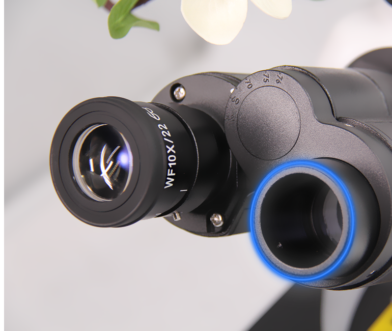 SWF10x/22mm, Diopter Adjustable