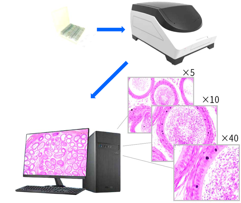 Scan The Panoramic Image Of Slides With High Speed And High Resolution