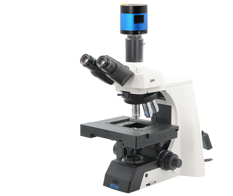 M12.5820 Motorized Biological Microscope, BF, XYZ Motorized