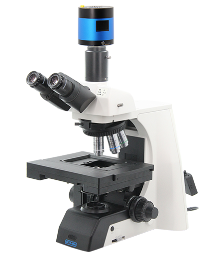 M12.5820 Motorized Biological Microscope, BF, XYZ Motorized