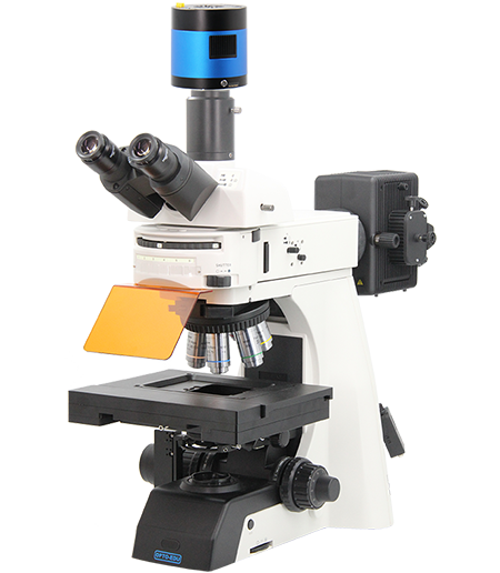 M16.5820 Motorized Fluorescent Microscope, BF/FL, XYZ+Nosepiece Motorized
