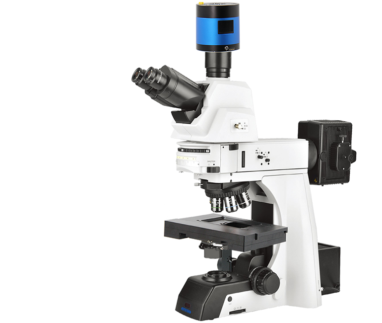 BF+DF+PL, Semi-APO, DIC, XYZ & Nosepiece Motorized