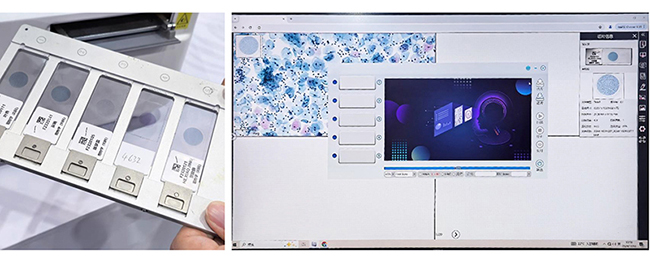 M30.5815 Full Auto Microscope Slide Scanner, 5 Slides