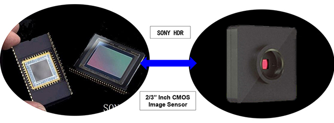 M20.5830 Microscope Camera