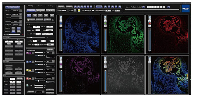 A64.0960 Laser Confocal Scanning Microscope, Full Auto Motorized, BF+PL++FL+DIC
