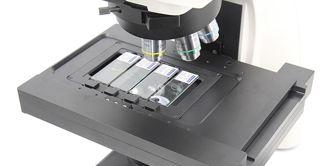 A16.1095 Upright Fluorescent Microscope, Semi-APO, Full Motorized