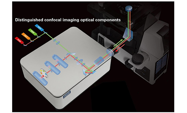 A64.0960 Laser Confocal Scanning Microscope, Full Auto Motorized, BF+PL++FL+DIC