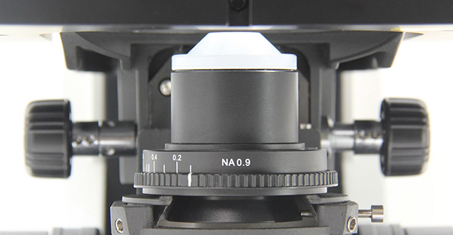 A16.1095 Upright Fluorescent Microscope, Semi-APO, Full Motorized