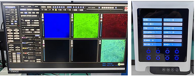 A64.0960 Laser Confocal Scanning Microscope, Full Auto Motorized, BF+PL++FL+DIC