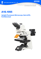 A16.1095 Upright Fluorescent Microscope, Semi-APO, Full Motorized, LED+LED
