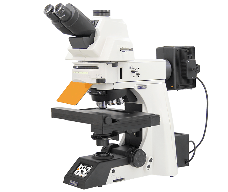 Full Motorized Upright Fluorescent Microscope