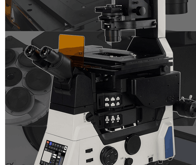 Motorized Inverted Fluorescent Microscope