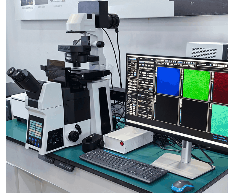 Full Auto Motorized, BF+PL++FL+DIC