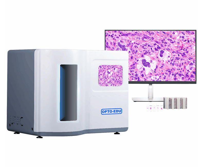 Full Auto Microscope Slide Scanner