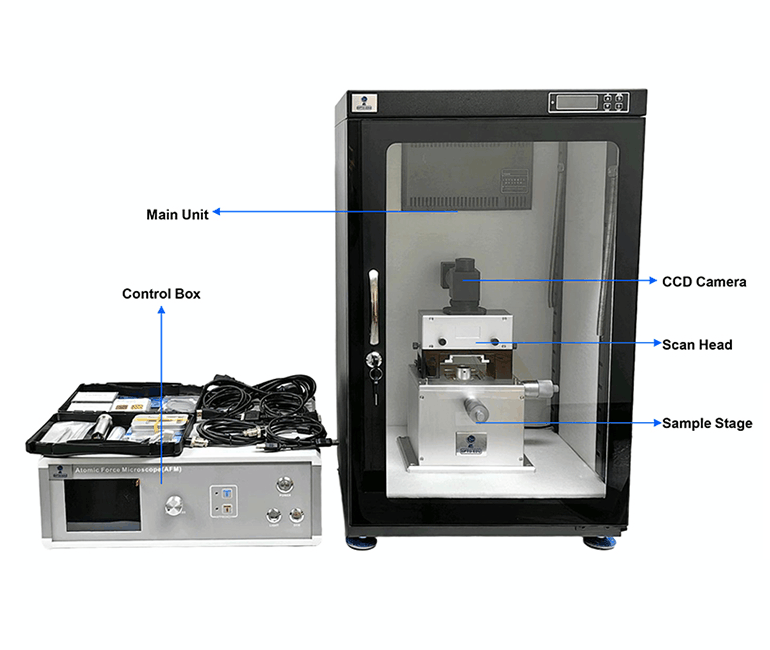 Basic Level Atomic Force Microscope