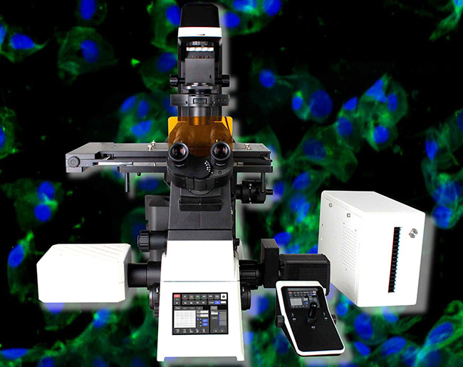 A64.1010 Laser Confocal Microscope, Full Auto, APO, BF+PH+PL+FL+DIC+Hoffman
