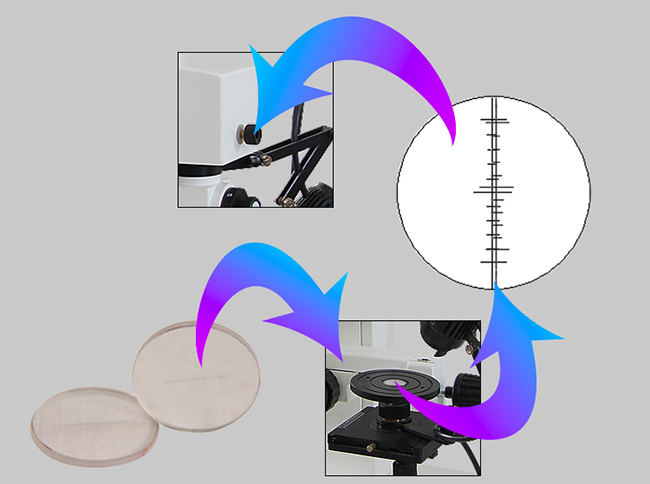 A18.1830 Motorized Digital Comparison Microscope, 2x~240x, With Motorized Table