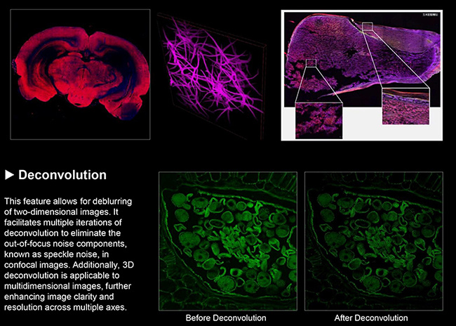 A64.1010 Laser Confocal Microscope, Full Auto, APO, BF+PH+PL+FL+DIC+Hoffman