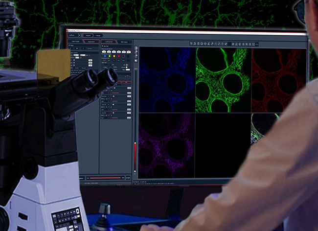 A64.1010 Laser Confocal Microscope, Full Auto, APO, BF+PH+PL+FL+DIC+Hoffman