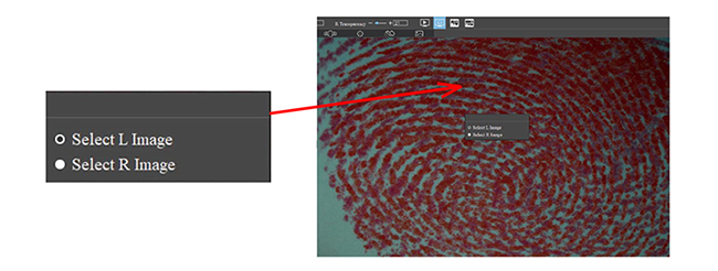 A18.4903 Digital Stereo Comparison Microscope