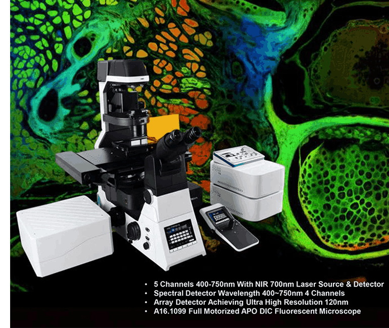 Full Auto, APO, BF+PH+PL+FL+DIC+Hoffman