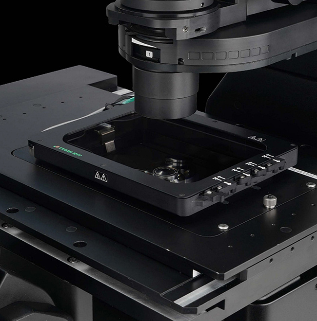 The inverted platform is the better match for living cells