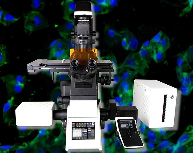 automated-laser-scanning-confocal-microscope-for-multichannel-imaging