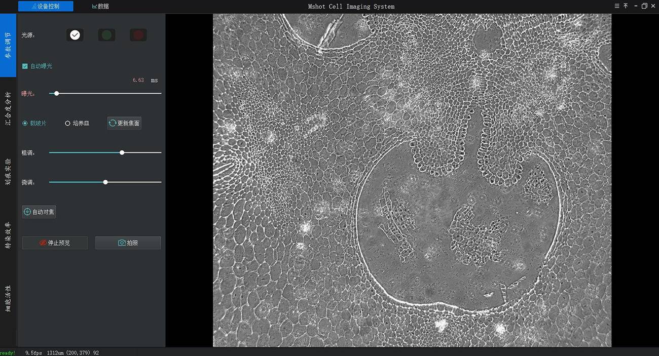Compact live cell imaging workstation for automated cell monitoring