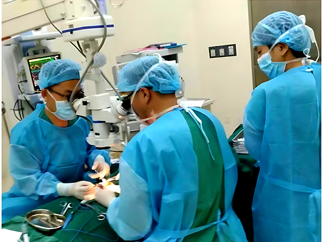 Motorized Zoom in an Ophthalmology Operating Microscope: What Surgeons Should Evaluate Motorized Zoom in an Ophthalmology Operating Microscope: What Surgeons Should Evaluate