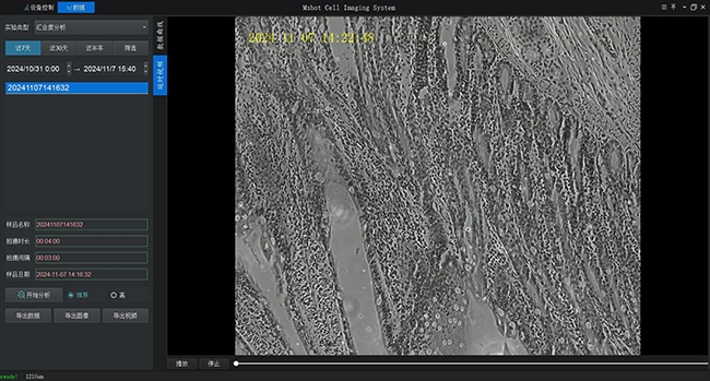 Time-lapse cell observation image for live cell imaging analysis
